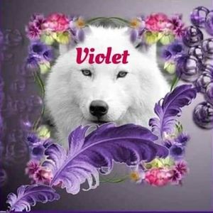 Meet your Posher, Violet
